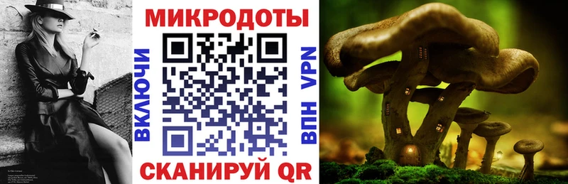 Галлюциногенные грибы Cubensis  shop состав  Новоузенск 